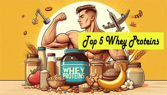 Top 5 Whey Proteins in India for Maximum Gain - mySmartBuying